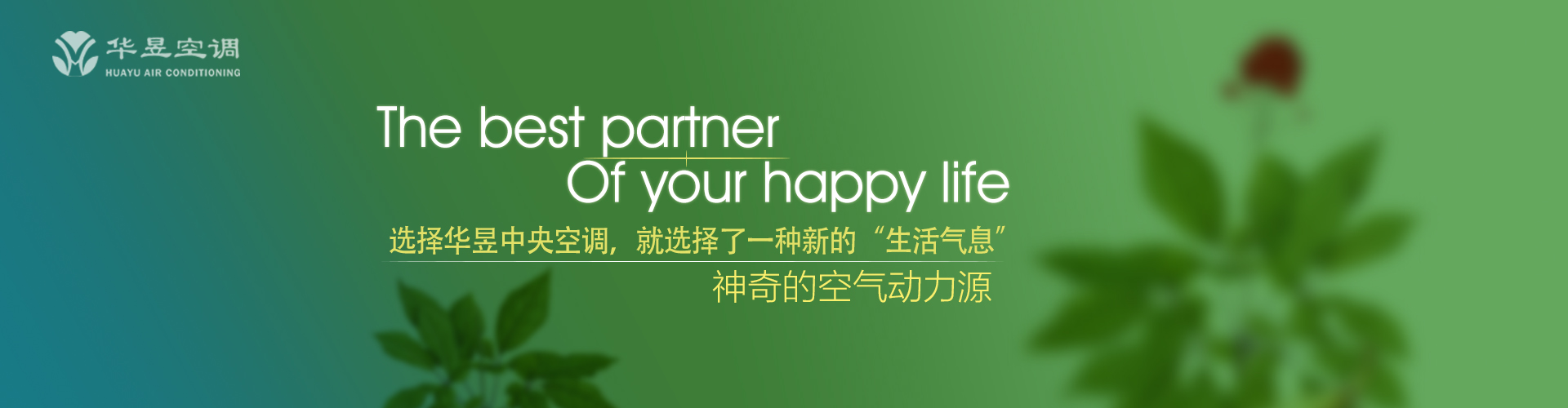 旧病复发网